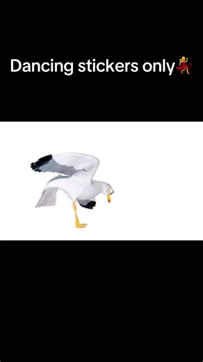Hilarious Dancing Stickers Compilation