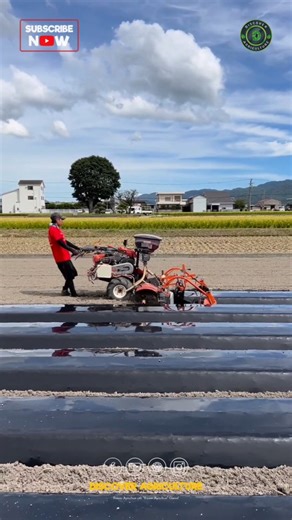 Discover Agriculture on Instagram: "Embarking on a gardening adventure? Combining seed sowing with mulching is an excellent way to nurture your plants while enhancing garden health. When you sow seeds directly into the soil and then apply a layer of mulch, you create an ideal environment for germination. The mulch helps retain moisture, suppresses weeds, and regulates soil temperature, providing your new seeds with the best chance for success. Just be mindful of choosing organic mulch materials