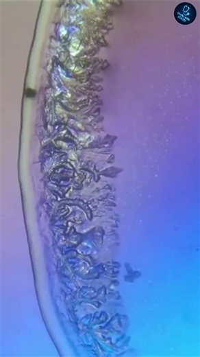 I didn't expect my TEARS to look like this! 😱 #microscope