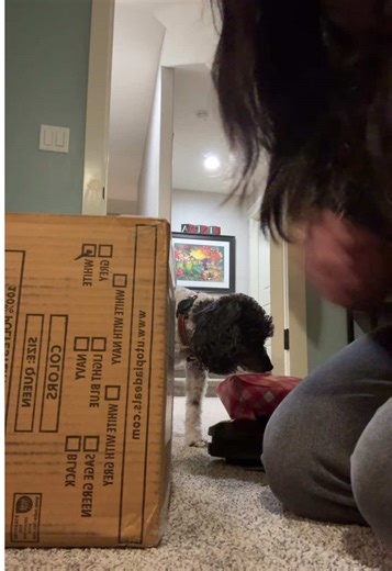 Madison (@madi.batess)’s videos with Doomsday - Instrumental - MF DOOM