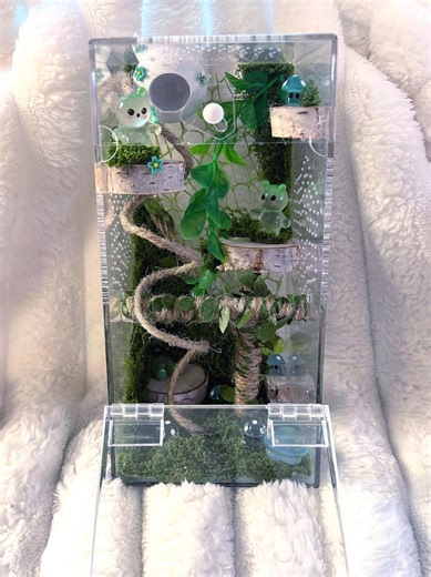 Jumping Spider Alien Enclosure – 4x4x8 Alien Theme Spider Home With a Latch Door, Moss, Ledges, Vines & Hide | Decorated and Ready to Use - Etsy UK