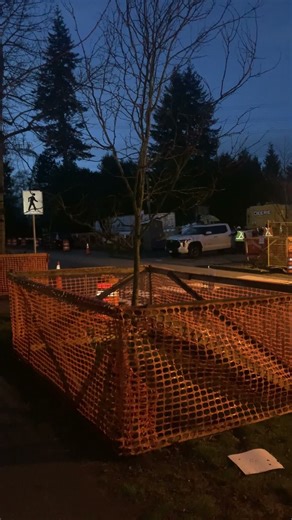 No tree protection zone, no construction permit! #tree #trees #redsealvas #arborist #landscaper