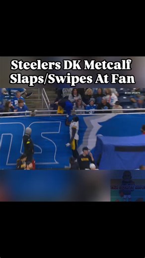 Tha Sports Hype 🏀⚾️🏈🥊 on Instagram: "Steelers DK Metcalf swipes at or attempted to slap a fan during the Detroit Pittsburgh game. I'm sure the league office will be in contact with him soon Do You Think He Will Be Fined, Suspended, or Both? #thasportshype #pittsburghsteelers #detroitlions #dkmetcalf #steelersfootball"