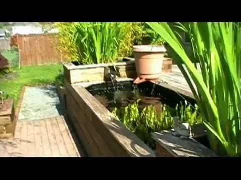 Learn How To Build Your Own Raised Koi Pond
