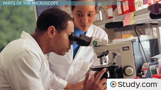 Compound Microscope | Definition, Parts & Functions