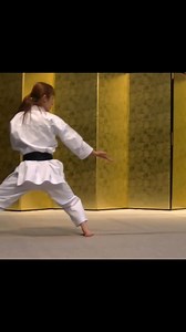 Shotokan KATA #kata #karate | Karate Science