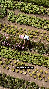 In Issing im Pustertal werden Kräuter seit Generationen mit viel Erfahrung und Sorgfalt angebaut und verarbeitet. 🌱 Das Qualitätszeichen Südtirol stellt dabei sicher, dass Herkunft und Qualität regelmäßig kontrolliert werden. #AD #Südtirol #Qualitätszeichen #Kräuter #Pustertal #Regionalität #Handarbeit #Bioqualität | Südtirol 1