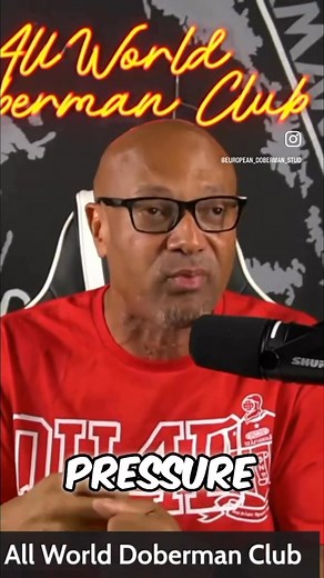 7.1K views · 267 reactions | A game bread Pitbull is the hardest dog who would take the most amount of pressure but keep pushing forward | European Doberman Stud | Facebook