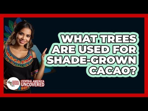 What Trees Are Used For Shade-Grown Cacao?
