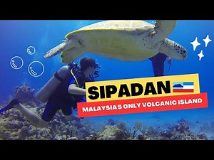 🩵🐡 ❤️ Sipadan Mabul Kapalai Diving Sabah Malaysia : BEST dives of my life with Scuba Junkie
