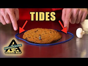 Gravity & Tides | Cooking with Science | Science Max