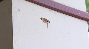 Wrong house? East Atlanta home riddled with bullets in seemingly random shooting