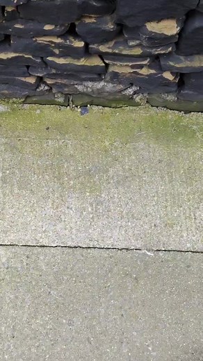 Fast and Easy Concrete Cleaning with Monty Miracle Cleaner