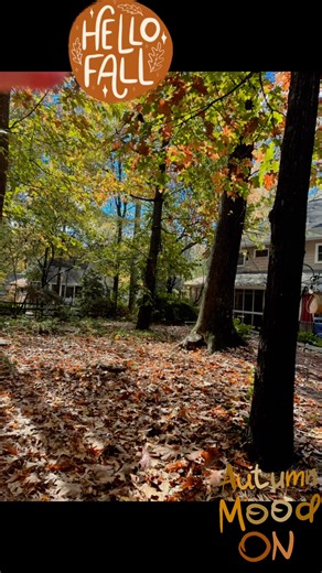 Loving this Fall weather… leaves in the breeze, sunshine and warm colors. | Colleen Walsh Shelburne