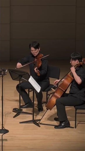 viola excerpt - tchaikovsky string quartet 4th #ensemble #viola #stringquartet #ardeur #tchaikovsky