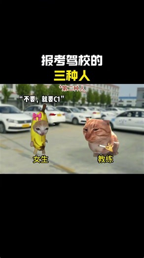 报考驾校的三种人#cheems #猫meme #搞笑 #funny #熱門