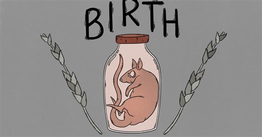 Indie Game Birth Receives February Release Date