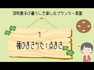 深町貴子の暮らしを楽しむプランター菜園 種のまきかた：点まき
