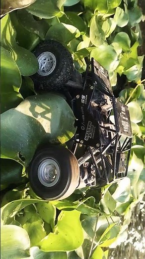 2025’s Best Off-Road Remote Control Cars Ranked by Durability & Terrain Handling"