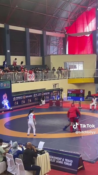 Understanding Combat Sambo and Its Techniques