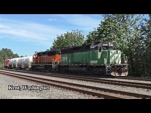 BNSF Freight Train and Amtrak Cascades at Railroad Crossings