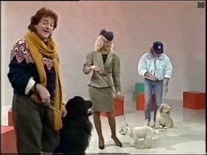 Rainbow - Large and Small