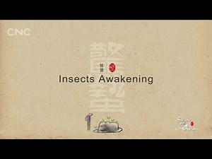 Seasons of China Episode 3: Insects Awakening