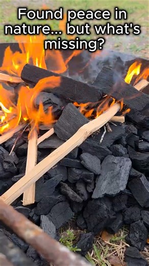 The ONE thing that makes camping perfect. #cooking #shorts #bbq #camping #steak #perfect #fire