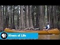 Episode 3 Preview: The Mississippi | Rivers of Life | PBS