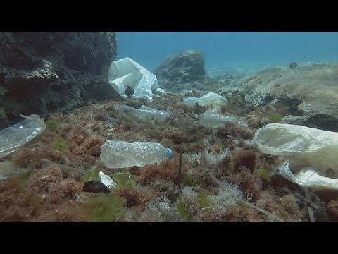 Green Week | Plastic: The Urgency to Act