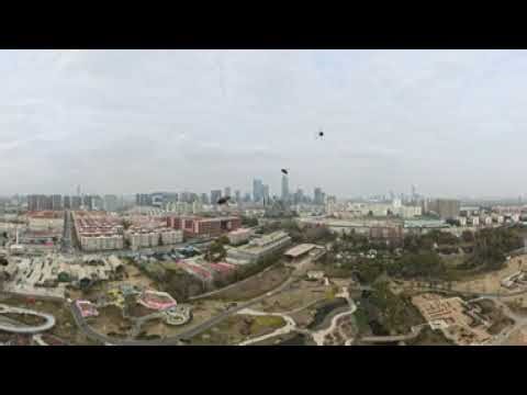 Fatal Bee Attack on My 360 Drone — Caught in 360°