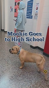 43K views · 5.3K reactions | Meet the new kid, Mookie Betts. Don't...