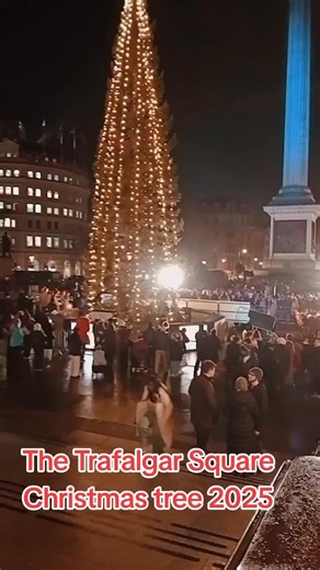 A approximately 20-metre-tall (60-foot) Norwegian Spruce (Picea abies), a gift from the City of Oslo to the people of London, a tradition since 1947 in thanks for British support during World War II. | Goc Larkin
