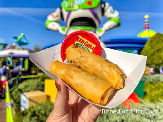 DFB Video: Disney World’s TOP SECRET Food Hacks - Disney by Mark
