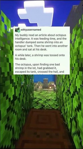 octopus are INSANELY smart 🐙