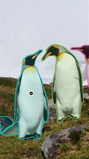 Meta on Instagram: "Our Segment Anything Model, SAM 3, is on the scene. SAM 3 can detect and track objects more precisely than ever, which can be used to aid endangered animal conservation…or to apply effects to specific people and objects in the Meta AI and Edits apps (coming soon!)"