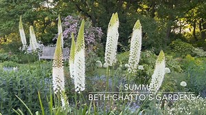 Legendary plantswoman Beth Chatto would have turned 100 this week. Here's a tour around her remarkable @bethchattogardens in Essex through the seasons over the course of a year. Read more about the remarkable figure from horticulture here https://www.gardensillustrated.com/feature/legacy-beth-chatto/ | Gardens Illustrated