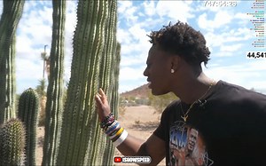 Speed手贱，竟然用手摸仙人掌