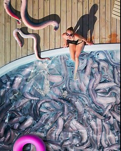 How deadly is a hagfish's slime? | Crazy Creatures