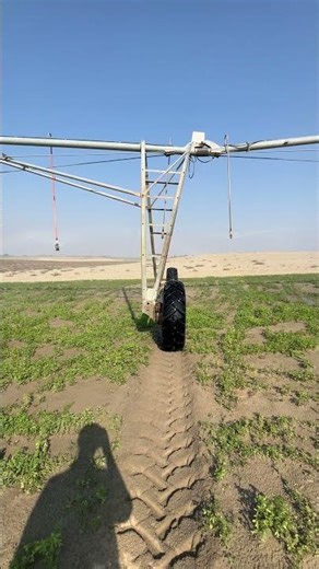 Center Pivot Working System #cp #irrigation #agri #shorts #youtubeshorts