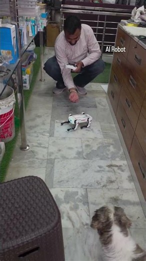 AI Robot dog 😄 #dinesh #computer #dineshcomputer