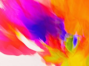 Procurement Careers | Life at Proxima