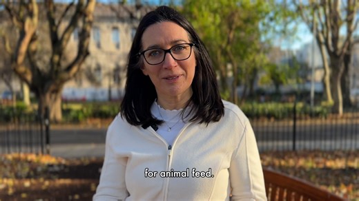 Promising news for more sustainable farming! At a time when farmers are under increasing pressure to produce more food for growing populations, and in a sustainable way, researchers at Trinity College Dublin have found a clear and cost-effective method to reduce the use of synthetic nitrogen fertiliser in farming while increasing the amount of grass we can grow to feed animals. Trinity Professor of Statistics, Caroline Brophy and PhD candidate, James O’Malley tell us about their results of their