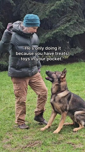 Why cutting out the cookies is hard 🍪 One skill to have with your dog is the ability to ask for a behavior and then reinforce the dog off your body. Easier said than done right? Here are a few reasons your dog might be struggling when you try to reduce reinforcement: 1️⃣ You’re asking for too much, too long at first. Start easy and then ask for more complex behaviors and maybe even some duration. 2️⃣ You haven’t taught your dog the concept, “do the thing to get the reinforcement over there.” Al