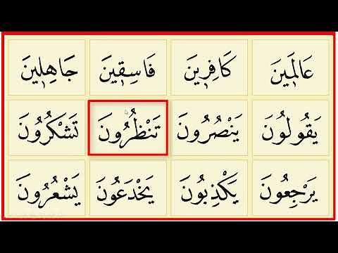 Elif Ba 16. Ders | Uzatma Harfleri Elif Vav Ye - Alıştırmalar 2