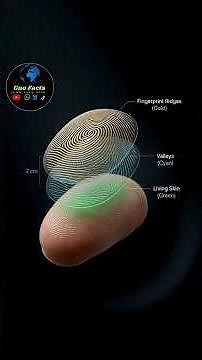 Why No Two Fingerprints Are Ever the Same! #facts