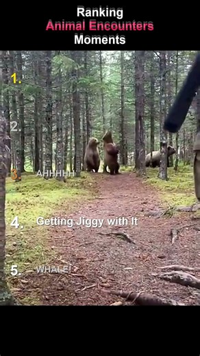 Dannie Cooks Ranks Animal Encounter Moments