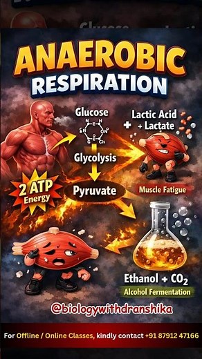 Anaerobic respiration: Energy production without oxygen! #anaerobicrespiration #cellularrespiration