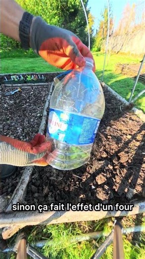 STOP aux limaces : la solution la plus simple du potager #potager #limaces #astucesjardinage #diy