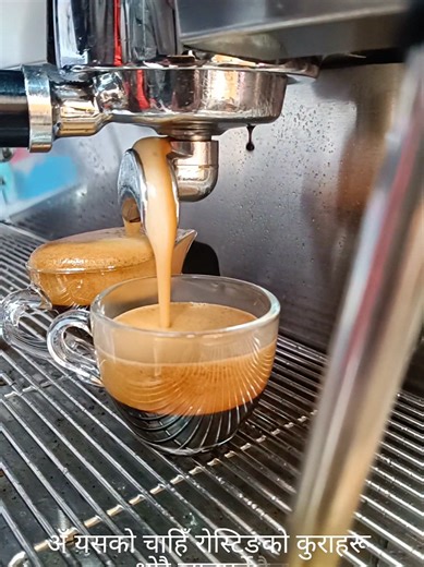 Essential Skills for Baristas: A Guide for Interviews